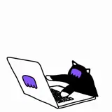 typing cat
